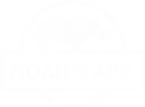 Noah\'s Ark - State-of-the-art animal and ecological conservation park To Be Built To Protect The World's Animals